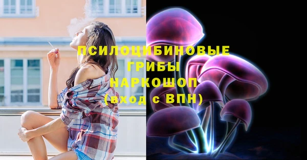 мдпв Майский