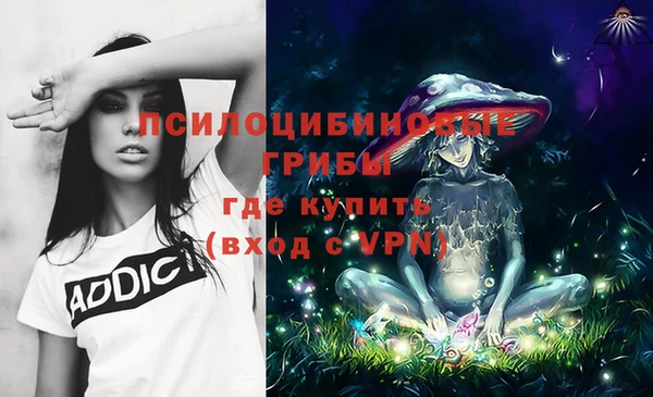 метадон Магас