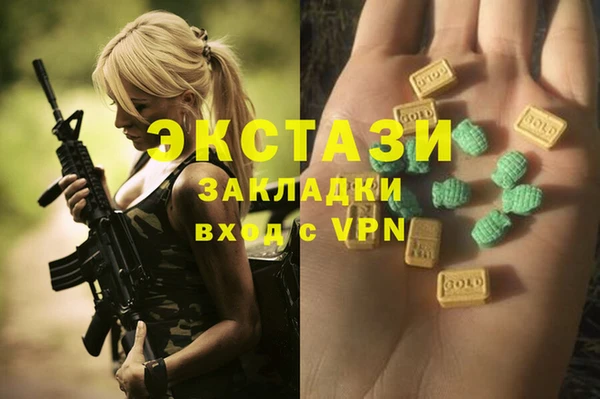 индика Бабаево