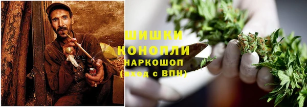 apvp Анива
