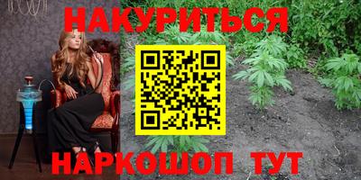 не бодяженный Гай