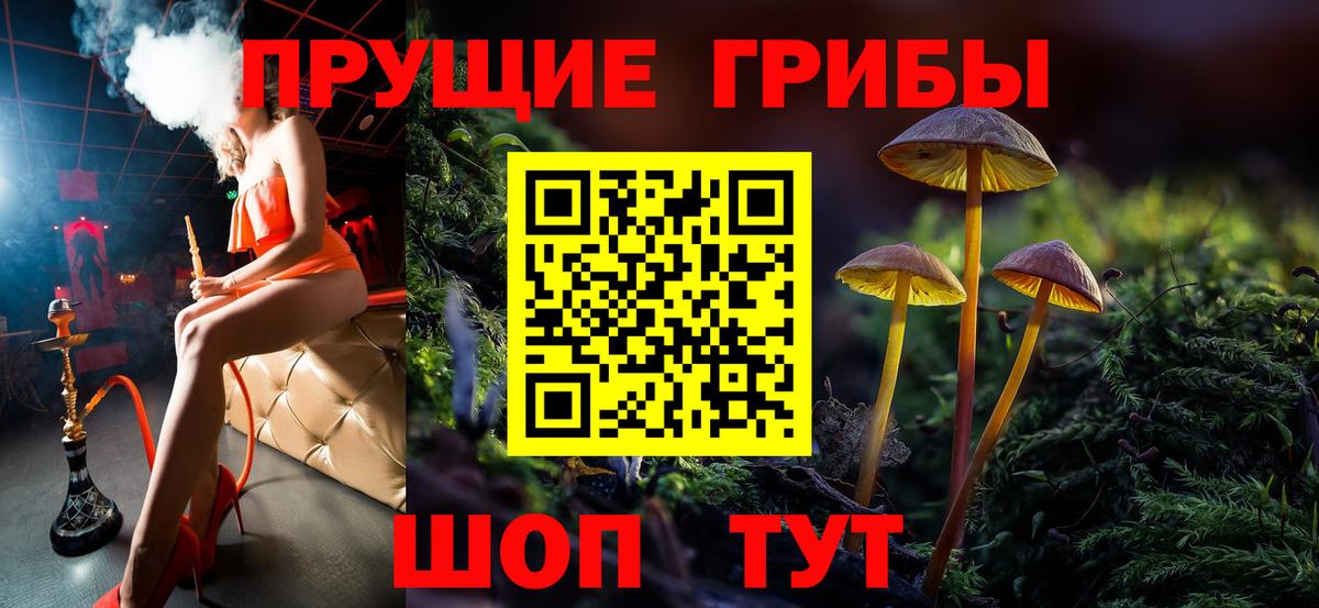 Галлюциногенные грибы MAGIC MUSHROOMS  Вход с VPN  Железноводск 